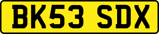 BK53SDX
