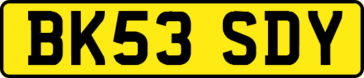 BK53SDY