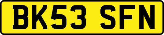 BK53SFN