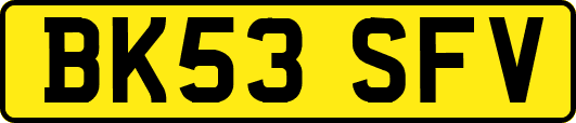 BK53SFV