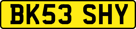 BK53SHY