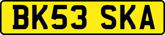 BK53SKA