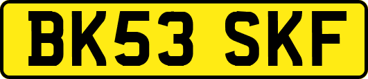 BK53SKF