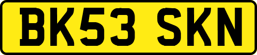 BK53SKN