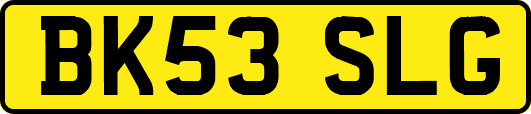 BK53SLG