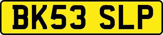 BK53SLP