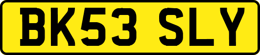 BK53SLY