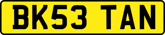 BK53TAN