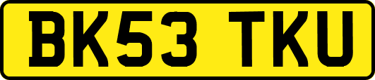 BK53TKU