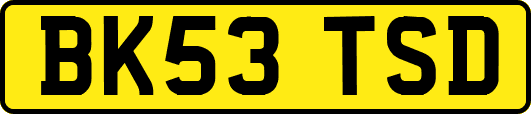 BK53TSD
