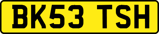 BK53TSH