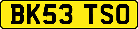 BK53TSO
