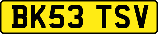 BK53TSV