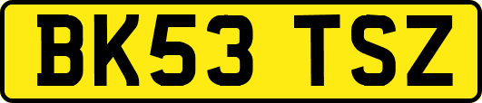 BK53TSZ