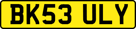 BK53ULY