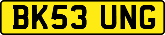 BK53UNG