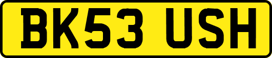 BK53USH