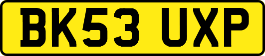 BK53UXP