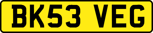BK53VEG