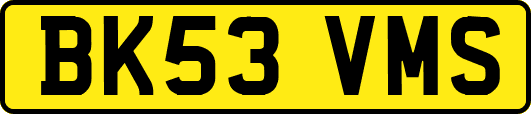 BK53VMS