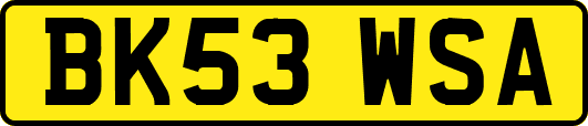 BK53WSA