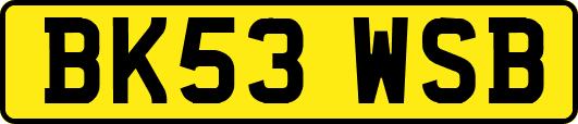BK53WSB