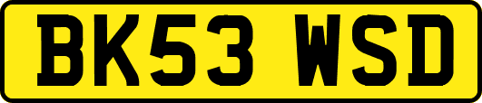 BK53WSD