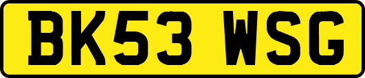 BK53WSG