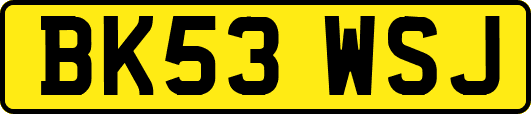 BK53WSJ