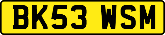 BK53WSM