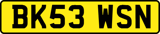BK53WSN