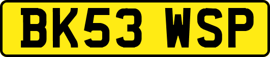BK53WSP