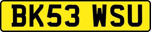 BK53WSU