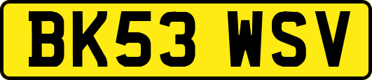 BK53WSV