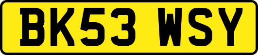 BK53WSY