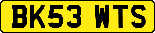 BK53WTS