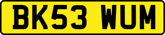 BK53WUM