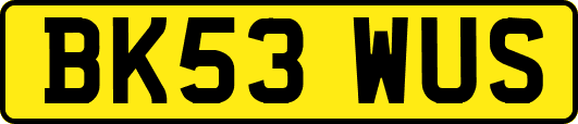 BK53WUS