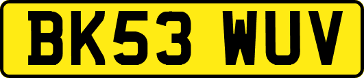 BK53WUV