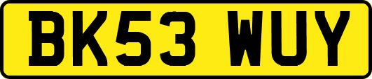 BK53WUY