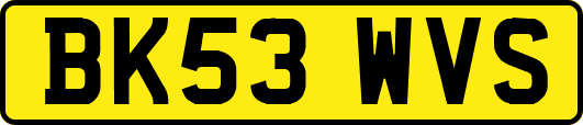 BK53WVS