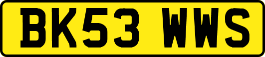 BK53WWS