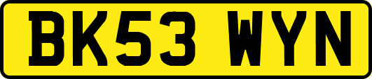 BK53WYN