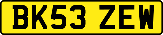 BK53ZEW