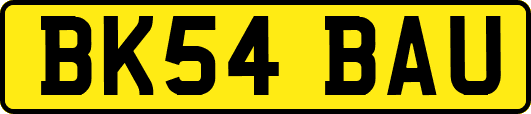 BK54BAU
