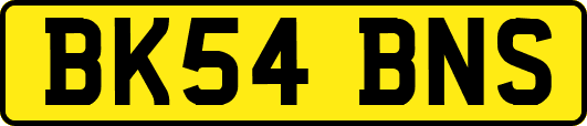 BK54BNS
