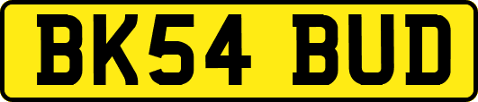 BK54BUD