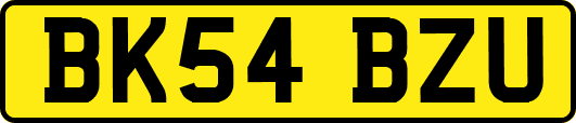 BK54BZU