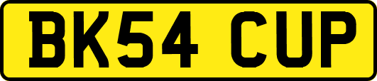 BK54CUP