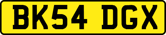 BK54DGX